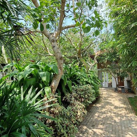 Villa Arana เบนโตตา ภายนอก รูปภาพ