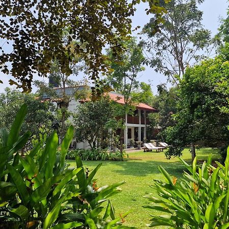 Villa Arana เบนโตตา ภายนอก รูปภาพ