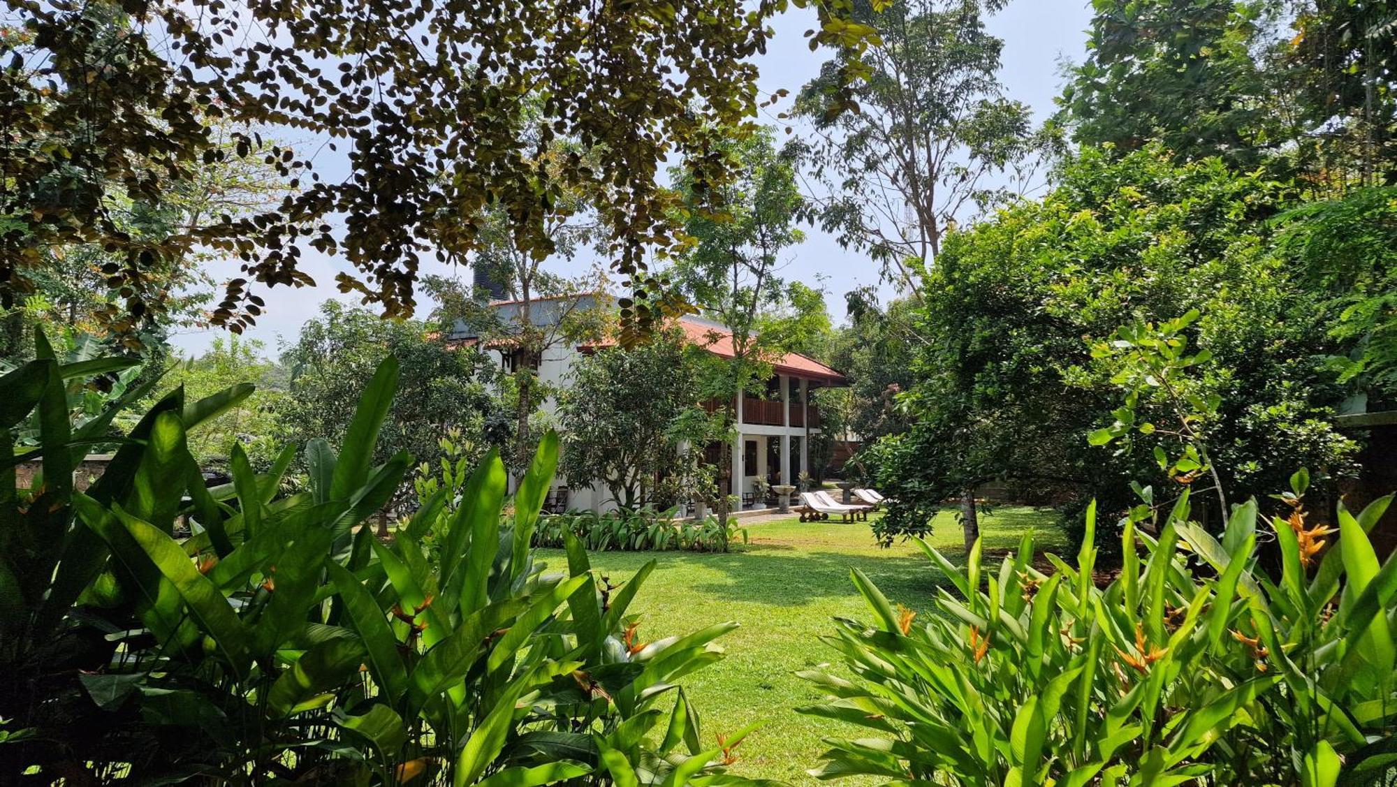 Villa Arana เบนโตตา ภายนอก รูปภาพ